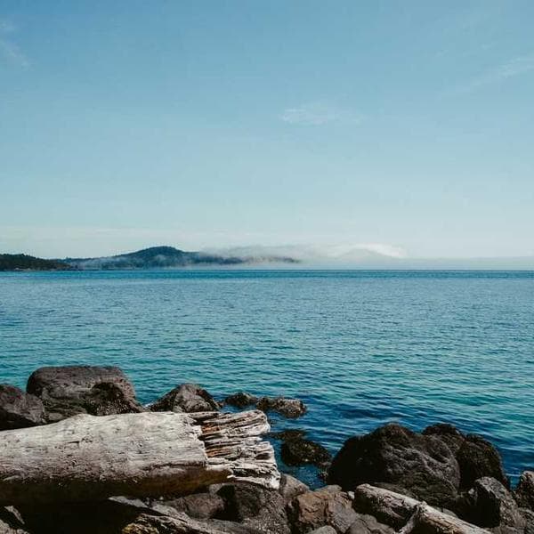 Natural ingredients in a beautiful setting